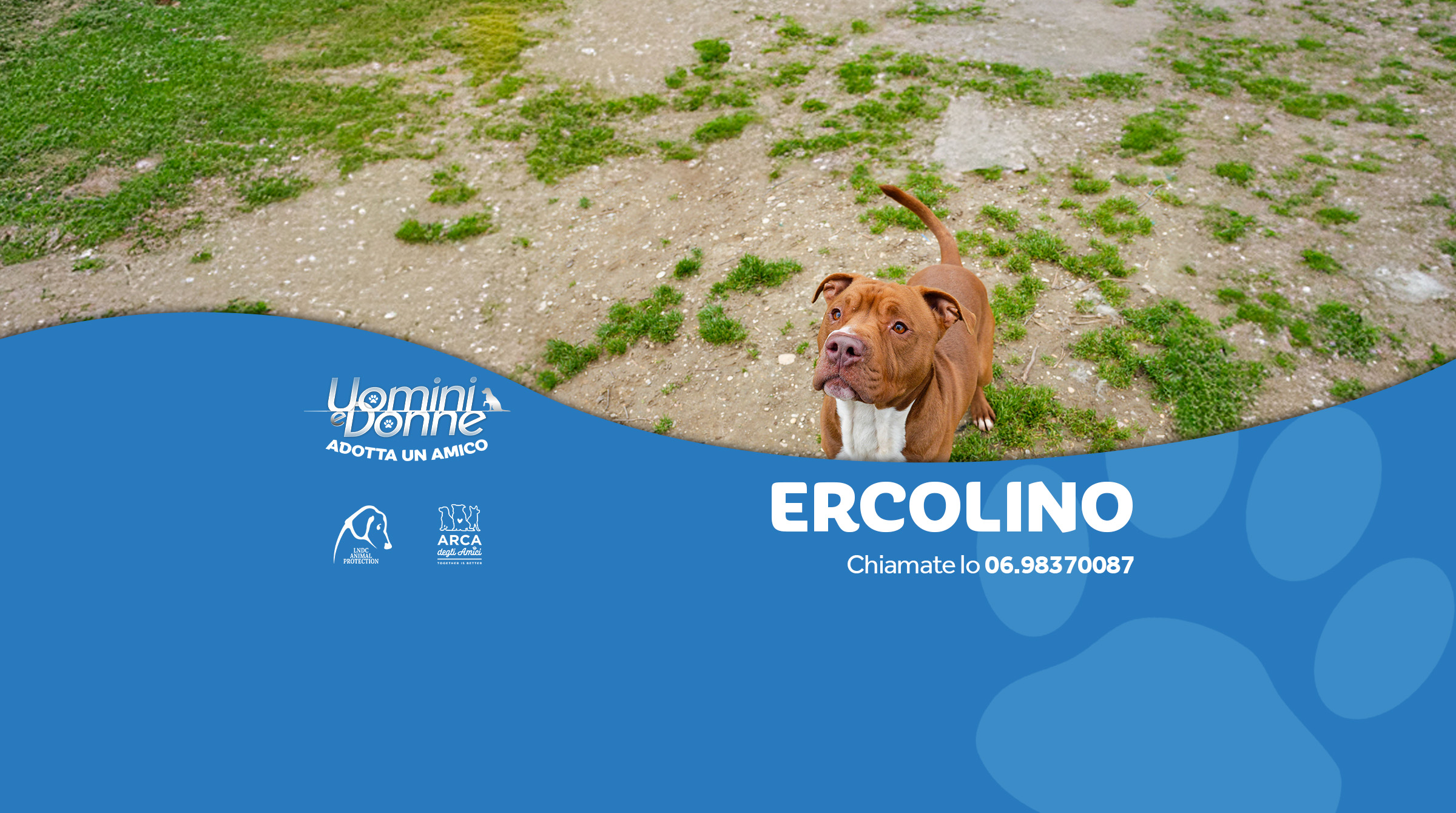 ERCOLINO Slider